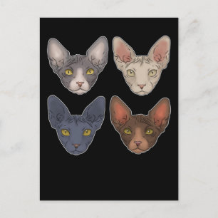 Carte Postale Don De Chat Sphynx Pour Homme Sphynx Chat