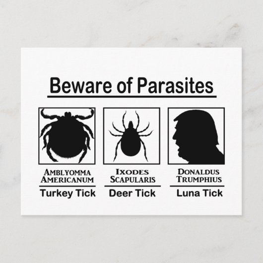 Carte Postale Donald Trump Méfiez-vous des parasites (Devant)