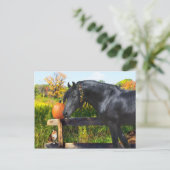 Carte postale "Donatella" (Debout devant)