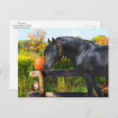 Carte postale "Donatella" (Devant / Derrière)