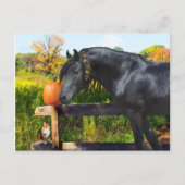 Carte postale "Donatella" (Devant)