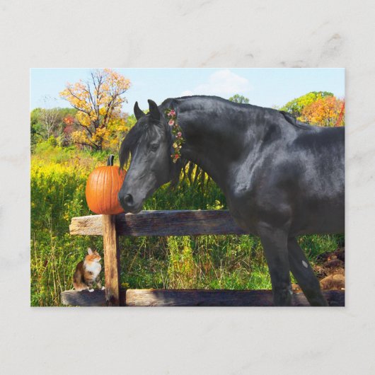 Carte postale "Donatella" (Devant)