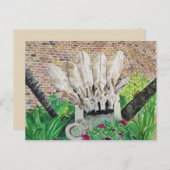 Carte postale Donkey (Devant / Derrière)