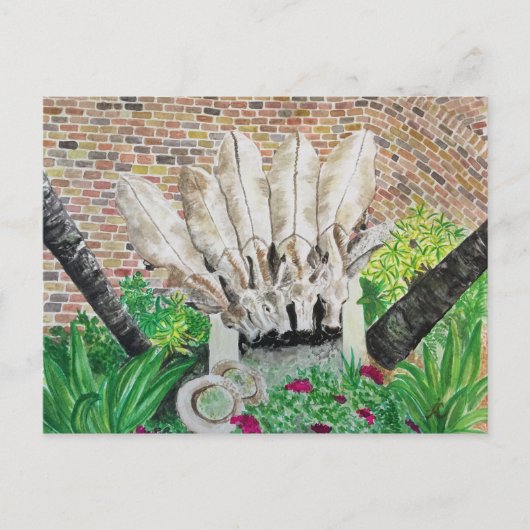 Carte postale Donkey (Devant)