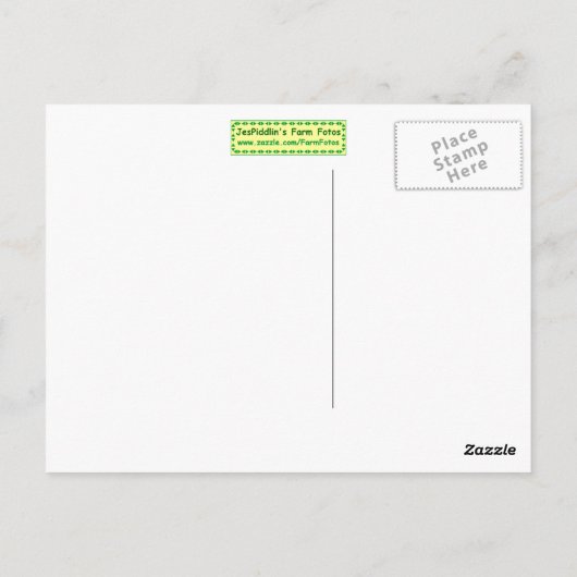 Carte postale Donkey (Dos)