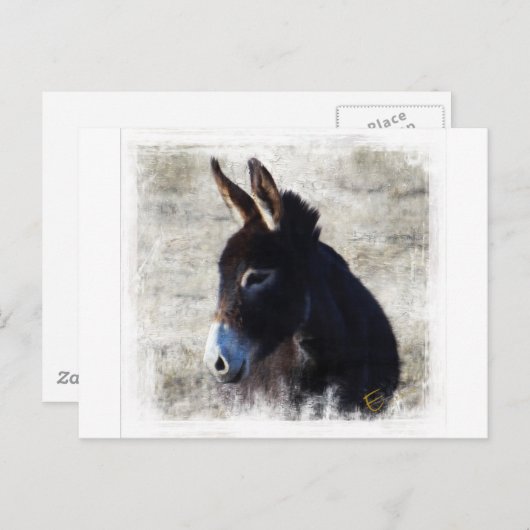 Carte Postale Donkey (Devant / Derrière)
