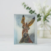 Carte postale Donkey (Debout devant)