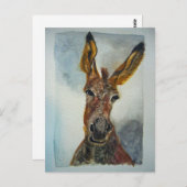 Carte postale Donkey (Devant / Derrière)