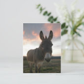 Carte Postale Donkey Art (Debout devant)