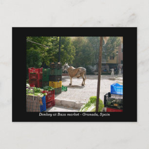 Carte Postale Donkey au marché de Baza - Grenade, Espagne