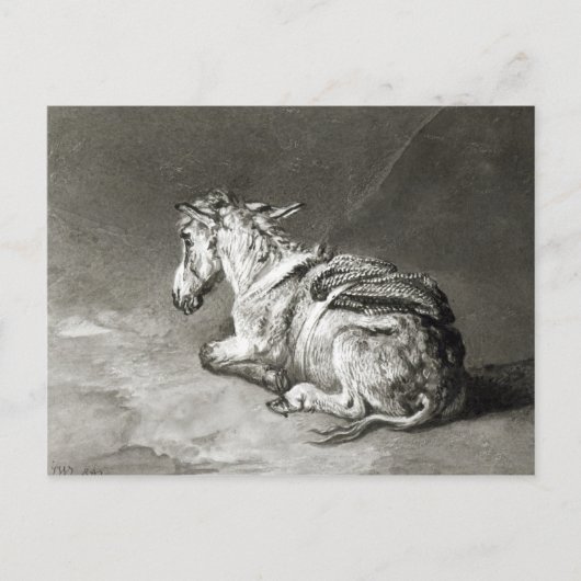 Carte Postale Donkey au repos (Devant)