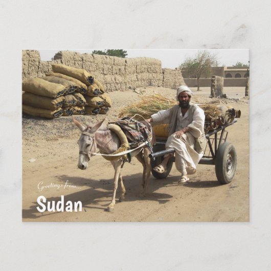 Carte Postale Donkey Cart au Soudan (Devant)
