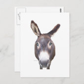 Carte Postale Donkey dans votre visage (Devant / Derrière)