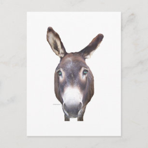 Carte Postale Donkey dans votre visage
