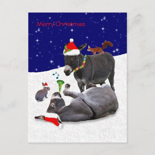 Carte postale Donkey Daze (Devant)