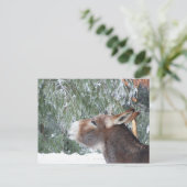 Carte postale Donkey Holiday (Debout devant)