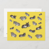 Carte Postale Donkey Mania (Devant / Derrière)