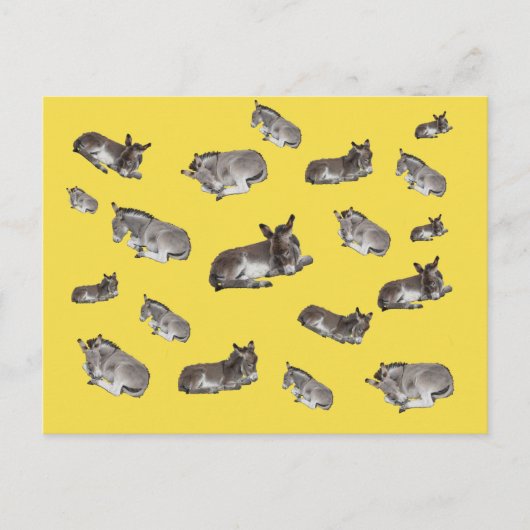 Carte Postale Donkey Mania (Devant)