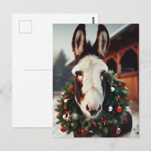 Carte Postale Donkey Pinto de Noël (Devant / Derrière)