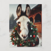 Carte Postale Donkey Pinto de Noël (Devant)