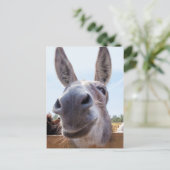 Carte postale Donkey souriant (Debout devant)