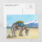 Carte Postale Donkey sur High Plateau, Amérique du Sud (Devant / Derrière)