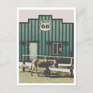 Carte Postale Donkey Town Oatman Arizona