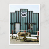 Carte Postale Donkey Town Oatman Arizona (Devant)