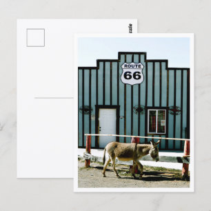 Carte Postale Donkey Town Oatman Arizona