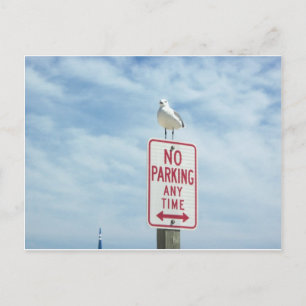Carte Postale Donner L'Absence De Parking Signer L'Oiseau