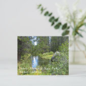 Carte Postale Donner Memorial State Park, Truckee, CA (Debout devant)