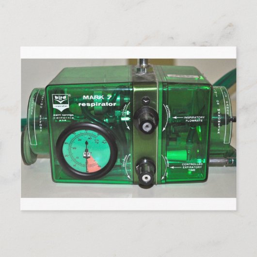 CARTE POSTALE DONNEZ-LEUR L'OISEAU - VENTILATEUR (Devant)