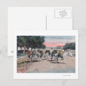 Carte Postale Dons chargés dans la rueLas Vegas, NM (Devant / Derrière)