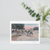 Carte Postale Dons chargés dans la rueLas Vegas, NM (Debout devant)