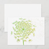 Carte Postale Dons et faveurs de dentelle de la reine Anne (Devant / Derrière)