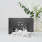 Carte Postale Donut à sucre (Debout devant)