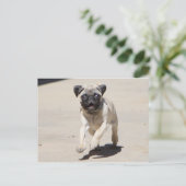Carte Postale Doobie Runnin' (Debout devant)