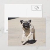 Carte Postale Doobie Runnin' (Devant / Derrière)