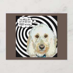 Carte Postale Doodle Days Comics Feed Me Postcard