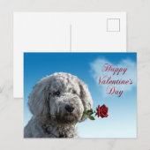 Carte postale Doodle Dog de la Saint-Valentin (Devant / Derrière)