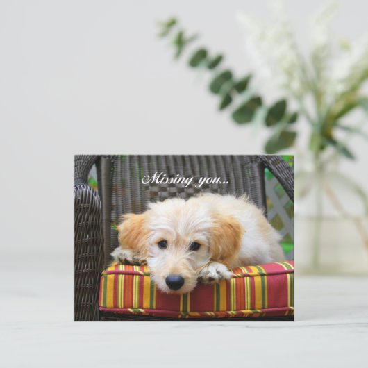 Carte postale Doodle Doré (Debout devant)