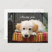 Carte postale Doodle Doré (Devant / Derrière)