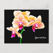 Carte postale d'orchidée (Devant)