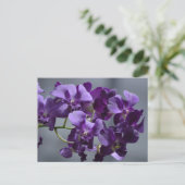 Carte postale d'orchidées violettes (Debout devant)