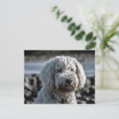 Carte Postale doré (Debout devant)