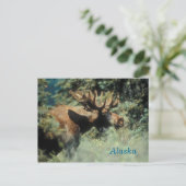 Carte postale d'orignal de l'Alaska (Debout devant)
