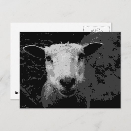 Carte Postale Doris les moutons (Devant / Derrière)