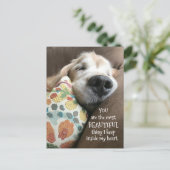 Carte Postale Dormant Golden Retriever belle chose amour (Debout devant)
