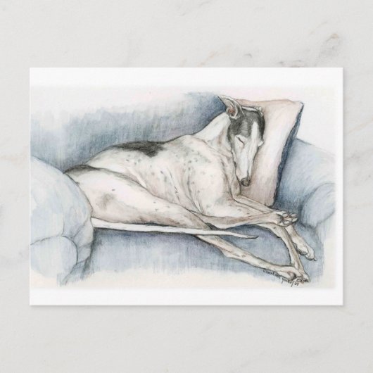 Carte Postale Dormir Greyhhhop Chien Art Poscard (Devant)