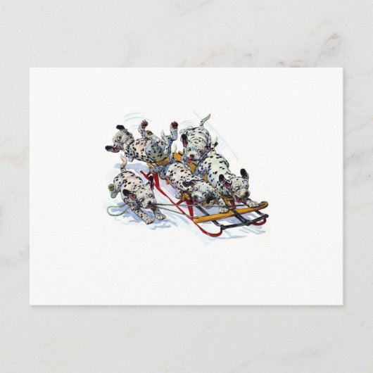 Carte Postale Dormir les petits dalmatiens (Devant)